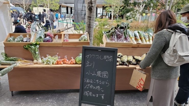 ２ヶ月間有り難うございました「⭐カラフル野菜の小山農園、グリーンスプリングスマルシェ⭐」