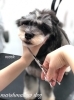「冬のオプションキャンペーン　^o^」