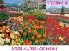 「花盛り☆」