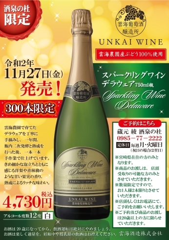 「【数量限定！】雲海ワイン 雲海農園産ぶどう100％使用 スパークリングワイン デラウェア 750ml瓶 」