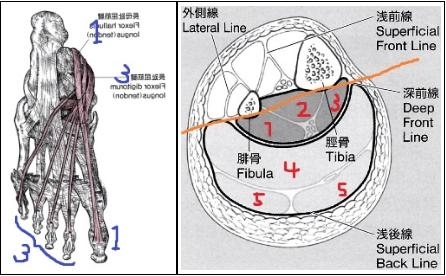 自転車トレで膝の痛み 原因は肩の打撲 無意識下に問う うるうカイロプラクティック院のニュース まいぷれ 霧島 姶良