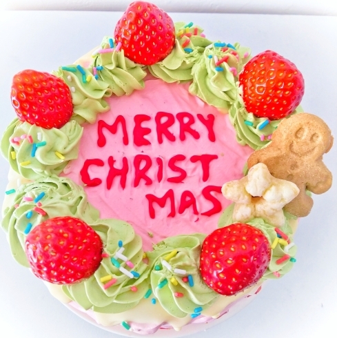 カラフルなクリスマスPOPケーキ「★MERRY CHRISTMAS★限定menuは27日まで！」