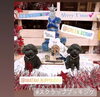 「仏壇屋だってクリスマスはケーキを食べる꒰ ♡´∀`♡ ꒱斐川町 仏壇」