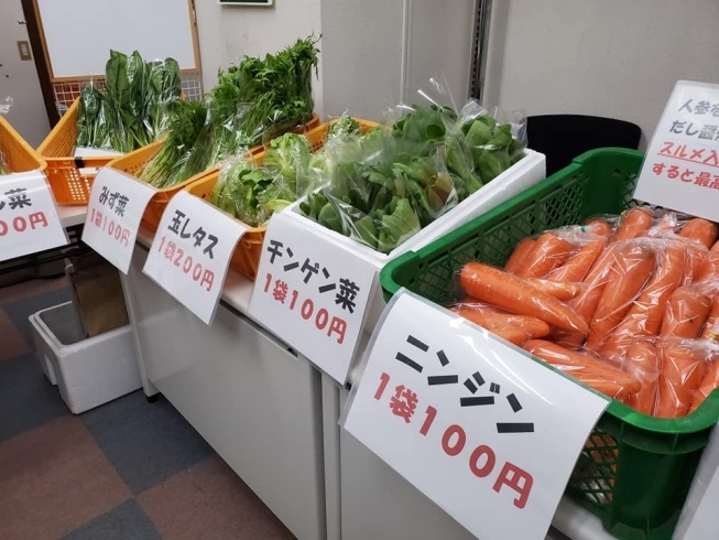 書の庵で男塾さんの野菜販売 書の庵のニュース まいぷれ 酒田