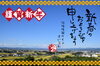 「謹賀新年～今年もよろしくお願い致します！～」