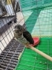 「春が待ち遠しい」