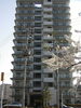 建物外観「売マンション情報と年末年始休業のお知らせ」