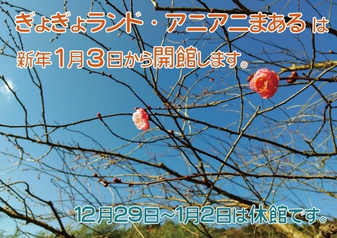 豊川市赤塚山公園 12月29日 火 1月2日 土 休館です 年末年始 お知らせ 豊川市赤塚山公園 ぎょぎょランド のニュース まいぷれ 豊橋 田原