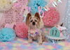 Happybirthday　ラッキーくん「Anniversaryphoto　(*´ω｀*)」