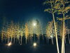 夜の景色「ご挨拶」
