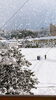 朝起きたら雪のカーテン出来ていました。「 ＊2020ありがとうございました＊」