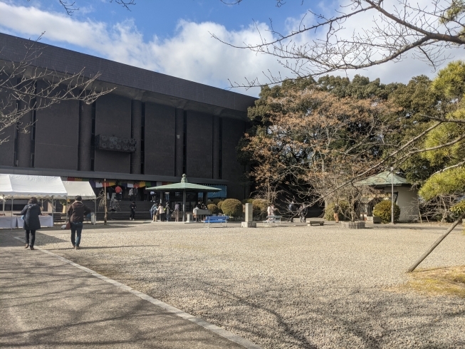 「【西条市小松町南川】香園寺で初詣！」