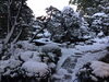 日本庭園「新年あけましておめでとうございます！！」