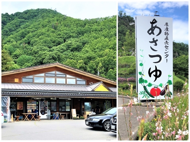 上田市丸子農産物直売加工センター あさつゆ「新春『初売り』のご案内！」