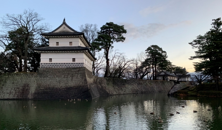 今は大雪で城址公園のカモたちも冷たいことでしょう「新型コロナウイルスに関する給付金や特例措置のタイムリミットを確認しよう 」