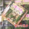 春の七草 西川香花園のニュース まいぷれ 三次市