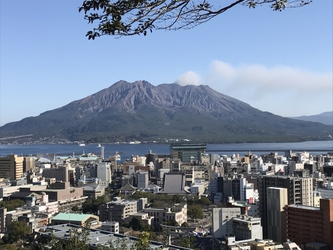 「新春ＳＡＬＥ！ 今までの感謝を込めて、「あげ焼きパン」どれでも100円引きセール、1/4～1/11までやっています。」