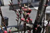 「４月１１日。本日のおすすめ品！！」