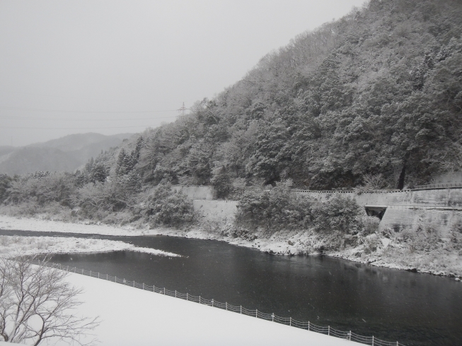 「今日の雪の様子【1/7（木）】」