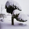 「臨時休業です！！雪にお気を付けて！m(_ _)m」