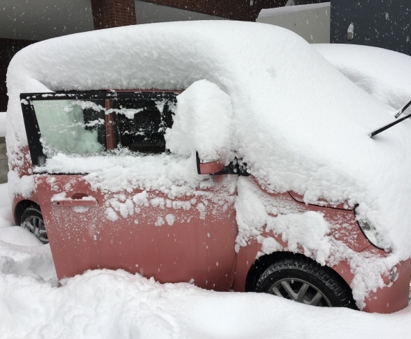 「新潟市内の大雪に注意！　車の雪道アイテムを揃えておきましょう」