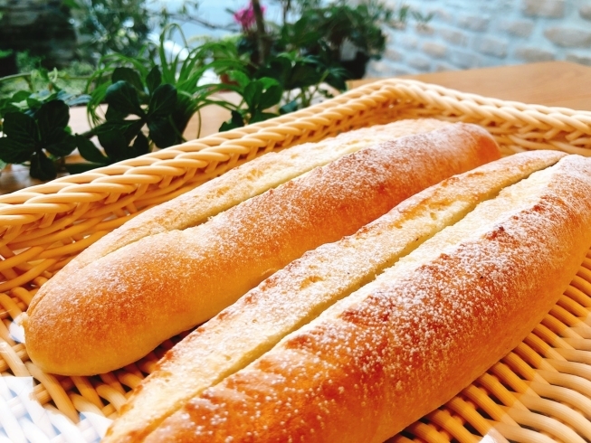 ソフトフランス「1月の新作パン、リニューアルパンいろいろ♡」