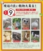 縁起の良い動物大集合