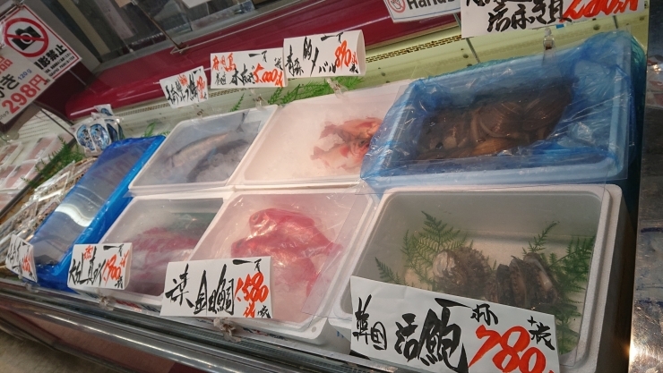 「八千代市、佐倉市の鮮魚店  　京成、東葉勝田台から徒歩10分　 魚や山粋（ヤマスイ)   【1/9特売情報】」