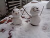 「雪にも負けず…」