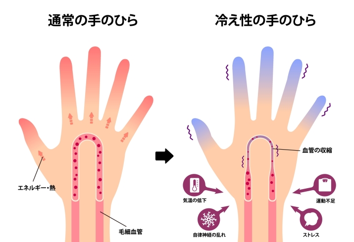 はりきゅうも振動も気血をめぐらすためのものです♪「［セルフケア機器・DODONPAご利用の方へ］楽天シニアアプリからのお申し込みで楽天10ポイントgetできます♪」