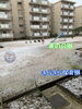 「雪やこんこ...♪*ﾟ 【交野市 小規模保育園】」