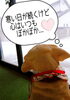 「今だからこそ“思いやりの心”を(*^-^*)」