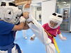 「8/7(木)の稽古風景≪ 明石/空手/スポーツ/運動/幼児/小学生/お稽古/習い事≫」