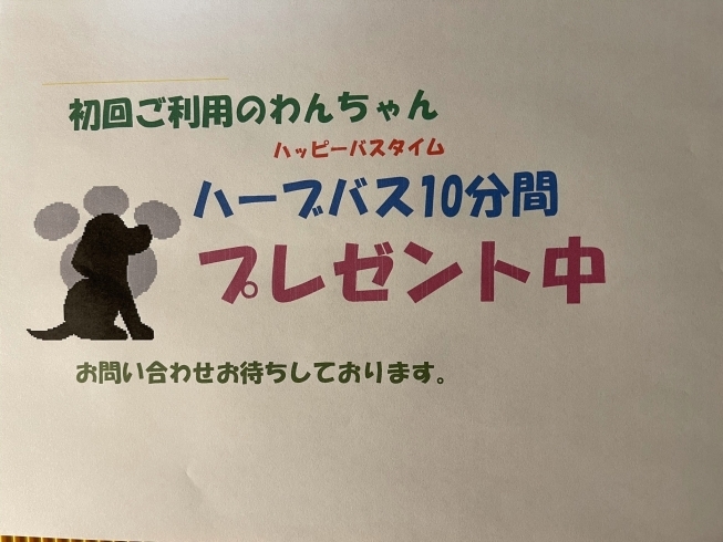 どうぞご利用ください‼️「ハーブバスはいかがですか❓」