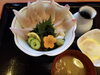 「1月15日一魚一会のおすすめランチは「ヒラス丼」です♪」