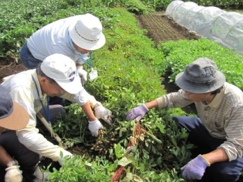 ワクワクしながら、試し掘り