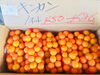 「宮崎産のキンカンはいかがですか？【お肉・野菜・果物は清武町の黒木商店で♪】」