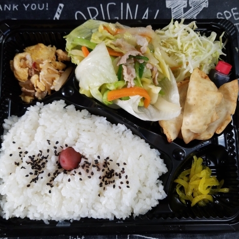 今日の日替わりです「本日の日替わり★今日は中華野菜&揚げ餃子弁当が500円！」