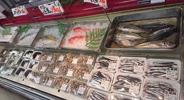 「八千代市、佐倉市の鮮魚店  　京成、東葉勝田台から徒歩10分　 魚や山粋（ヤマスイ)   【1/19特売情報】」