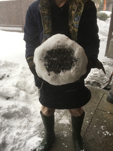 雪でまんじゅう作りました「雪で作った、、、！？」