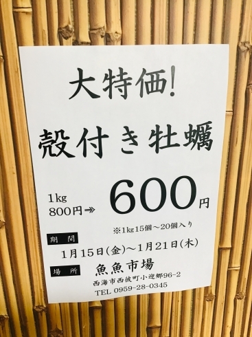 「西海物産館 魚魚市場鮮魚コーナーおすすめ商品は「牡蠣の特売明日迄！」」