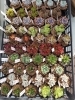 こんなに沢山の多肉植物入荷しました 三次花壇 十日市店のニュース まいぷれ 三次市