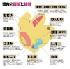 マイカラーヌから一言!<br>「アタシャ~砂ずりと鶏皮、胸肉が好きだカラ~~~!」