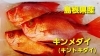 本日のお刺身 島根県産 キンメダイ ヤリイカ 寺津屋 仕出し 会席料理のニュース まいぷれ 松江