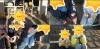 「散歩　柳瀬川・土手に行きました♪」