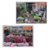 紹介作品　「奨励賞」「銅賞」「全国都市緑化ふなばしフェア 花壇コンテスト入賞作品が船橋市役所で展示」