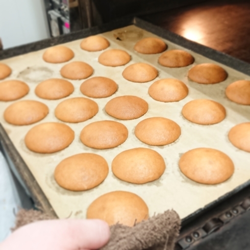 焼きたて丸房露「ただいま “丸房露” 焼きたてです！」