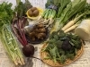 「地元農家さんが作った新鮮野菜の詰め合わせ★お野菜BOXを買ってみた♪　瑞江　津久井酒店（小島農園）」