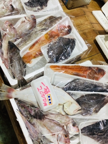 「西海物産館 魚魚市場鮮魚コーナーおすすめ商品は「ブリの切り身特売中！」です♪」