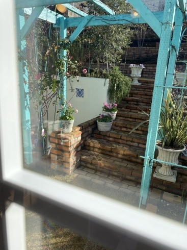 今日の店内からの風景「お外で撮影【ガーデン・カフェ・テラス席で開放感・撮影スポットでお花を楽しむ】」